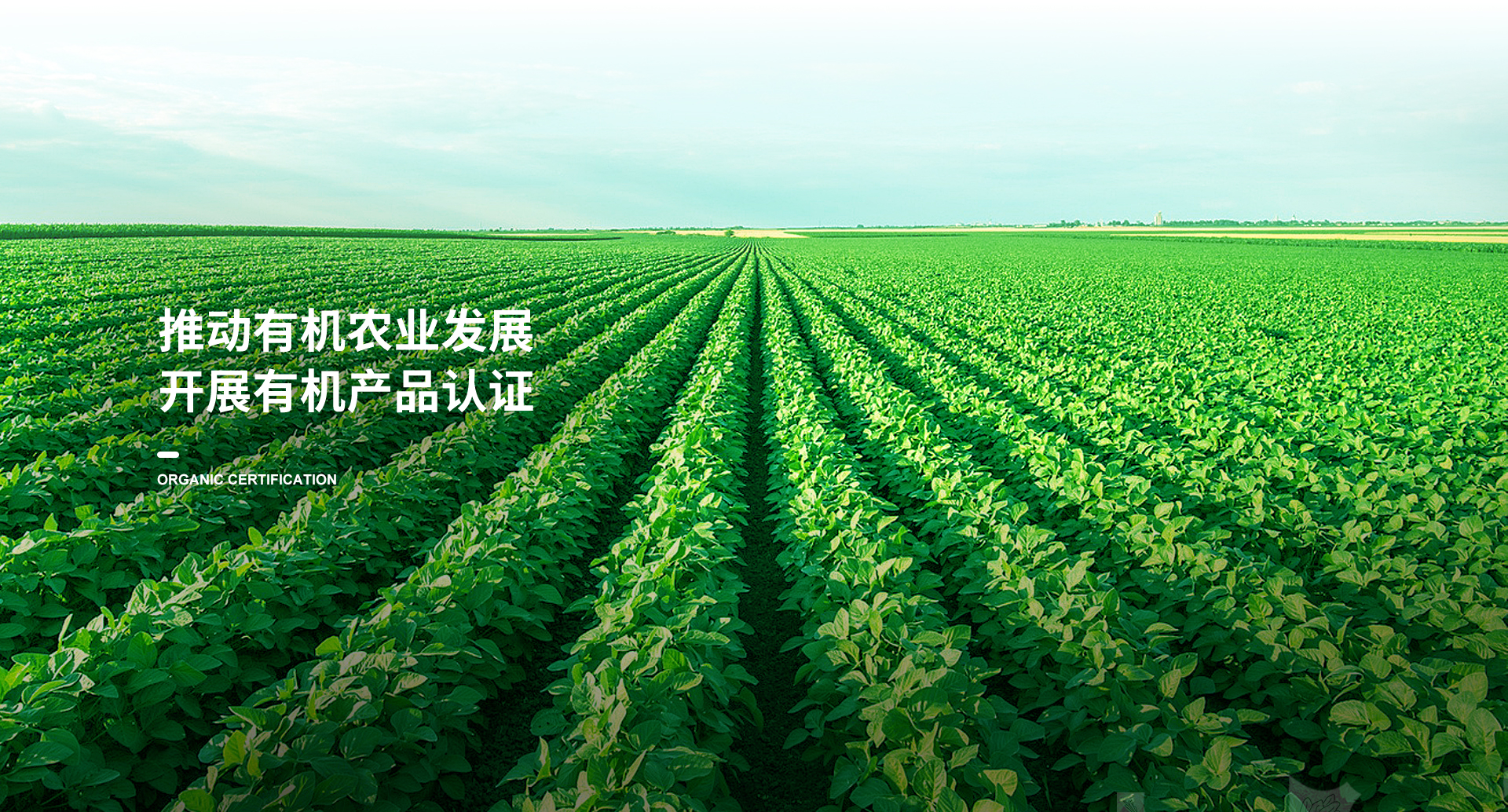 手机