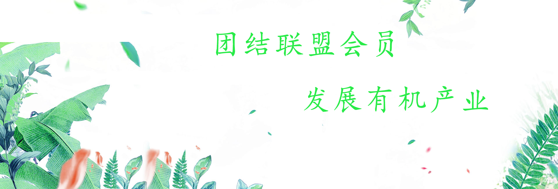 团结联盟会员，发展有机产业